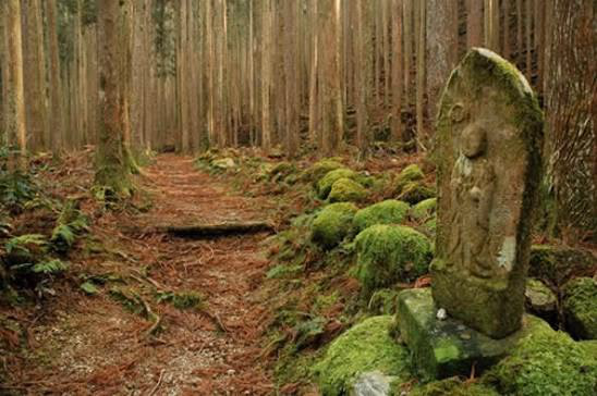 Panorama of Kii Sacred Sites