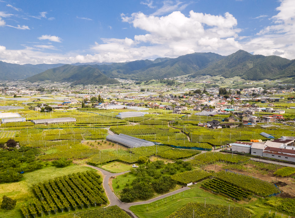 Panorama of Koshu