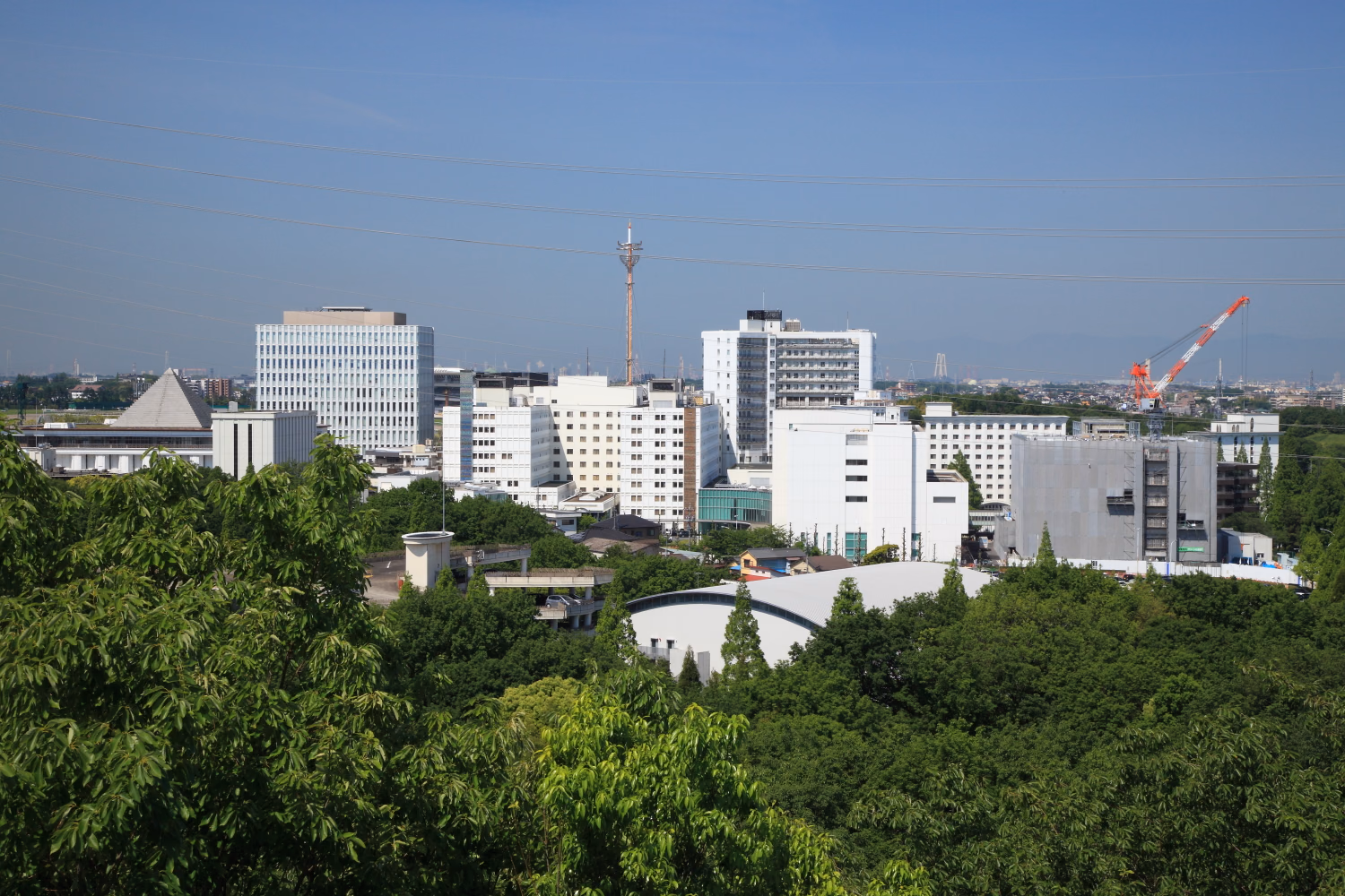 Panorama of Okehazama
