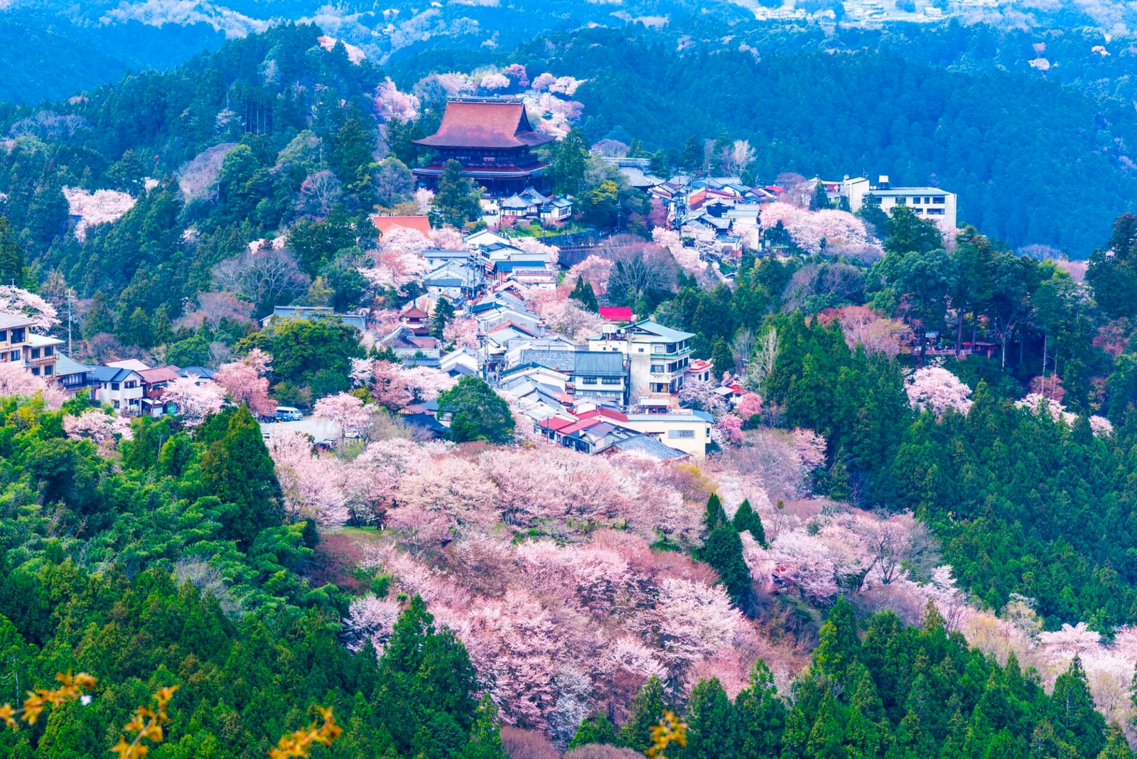 Panorama of Yoshino