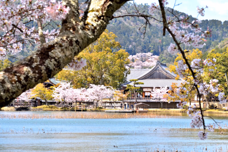 View of Daikaku-ji