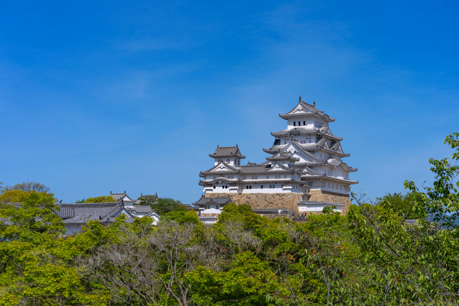 View of Himeji Castle
