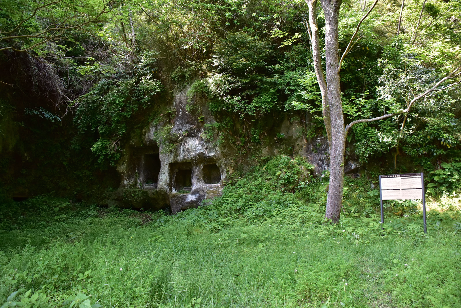 View of Hōjō Clan Tokiwa Residence Ruins