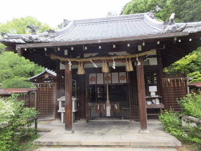 View of Imakumano / Shin-Kumano Shrine