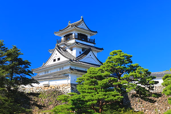 View of Kōchi Castle
